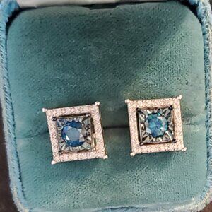 Princess Cut 1.00 ct Blue & White Diamond Earrings